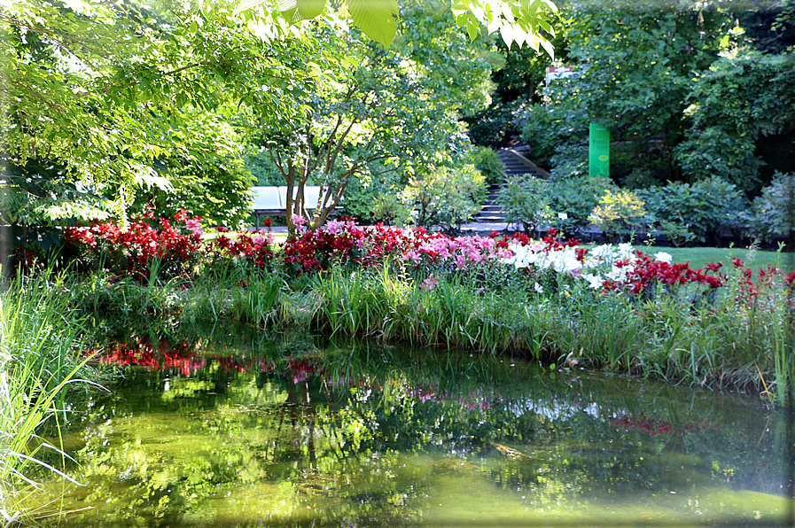 foto Giardini Trauttmansdorff - Boschi del Mondo